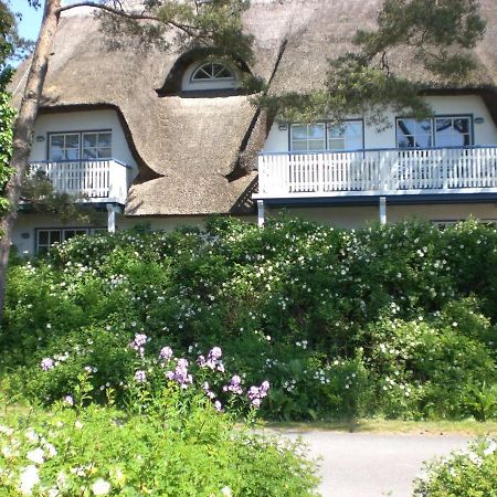 Achtern - Diek - Am Strand Zingst Dış mekan fotoğraf