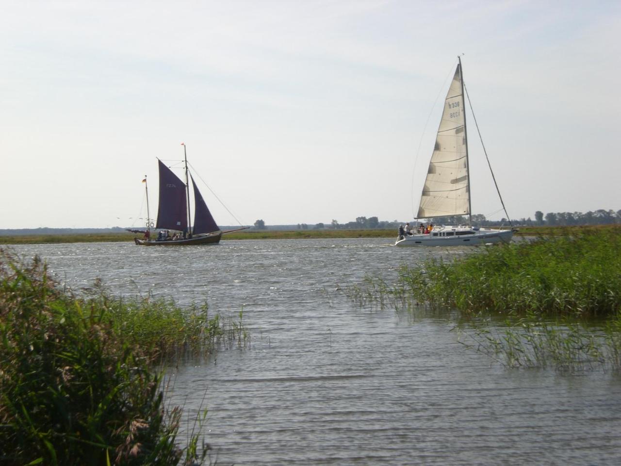 Achtern - Diek - Am Strand Zingst Dış mekan fotoğraf