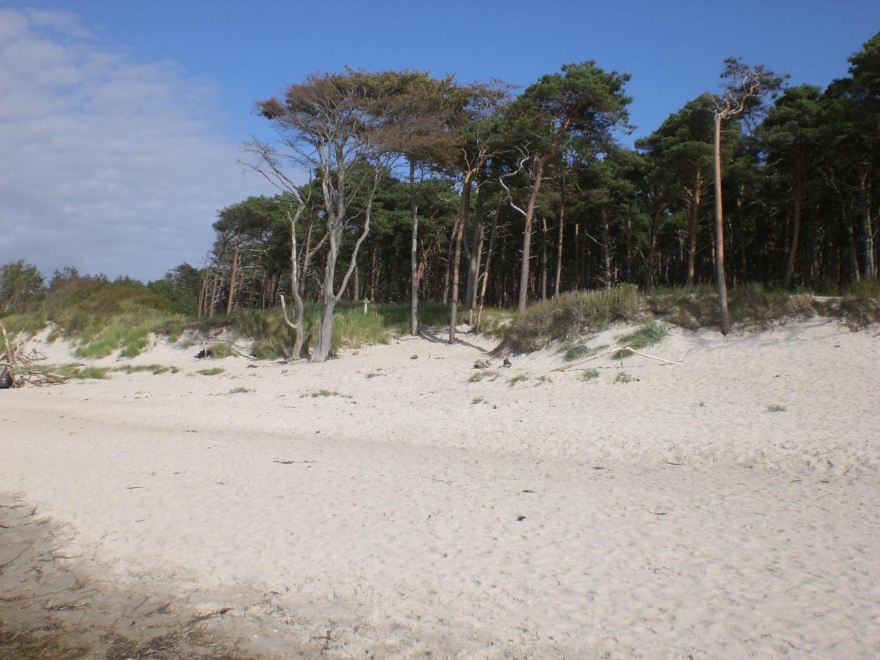 Achtern - Diek - Am Strand Zingst Dış mekan fotoğraf
