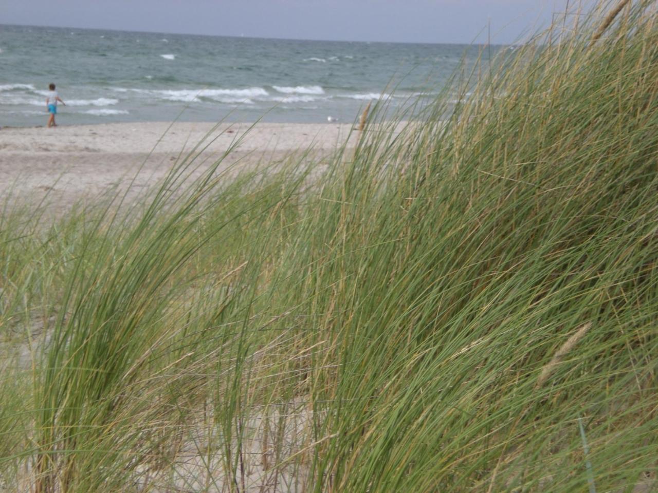 Achtern - Diek - Am Strand Zingst Dış mekan fotoğraf