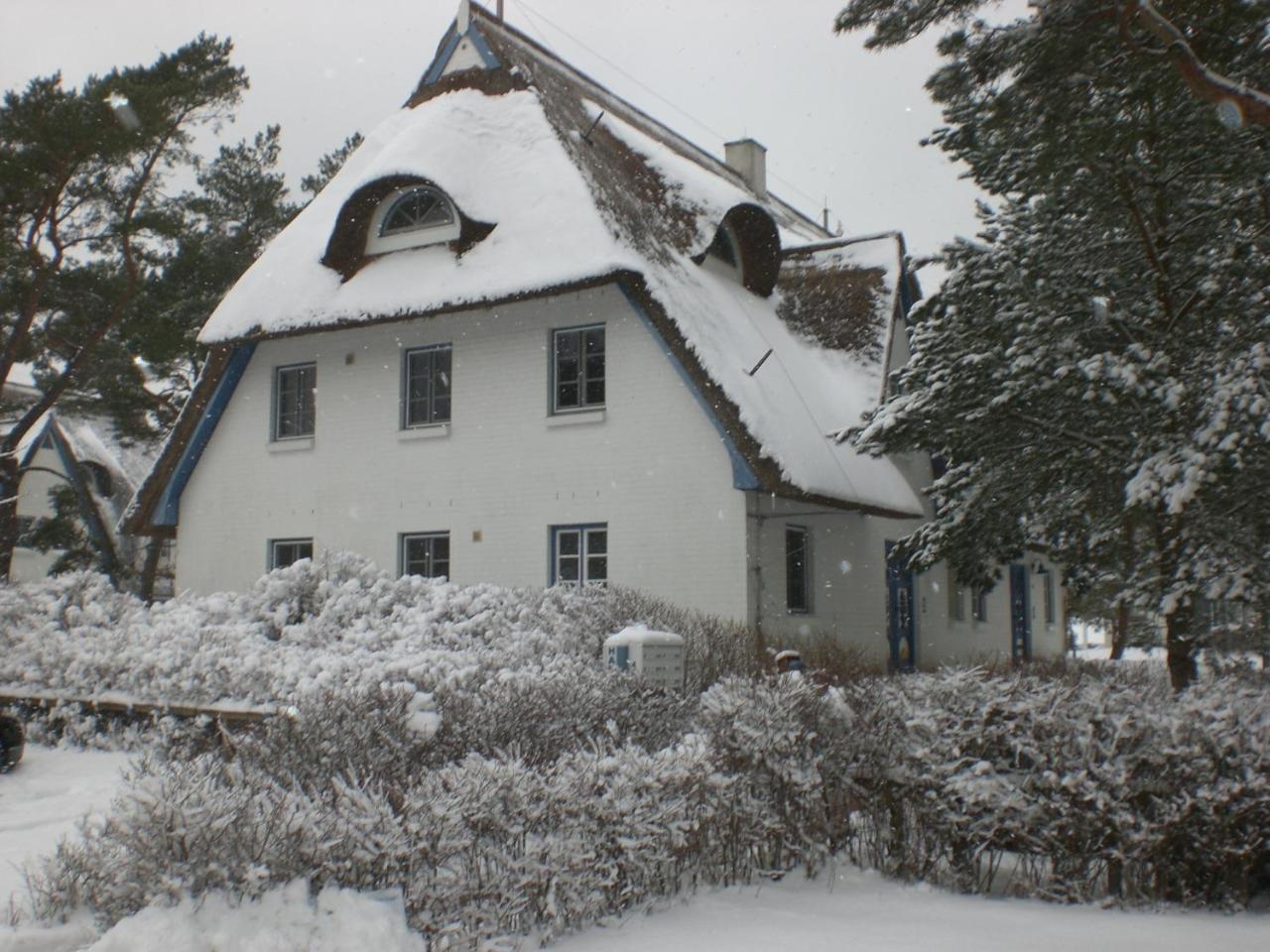 Achtern - Diek - Am Strand Zingst Dış mekan fotoğraf