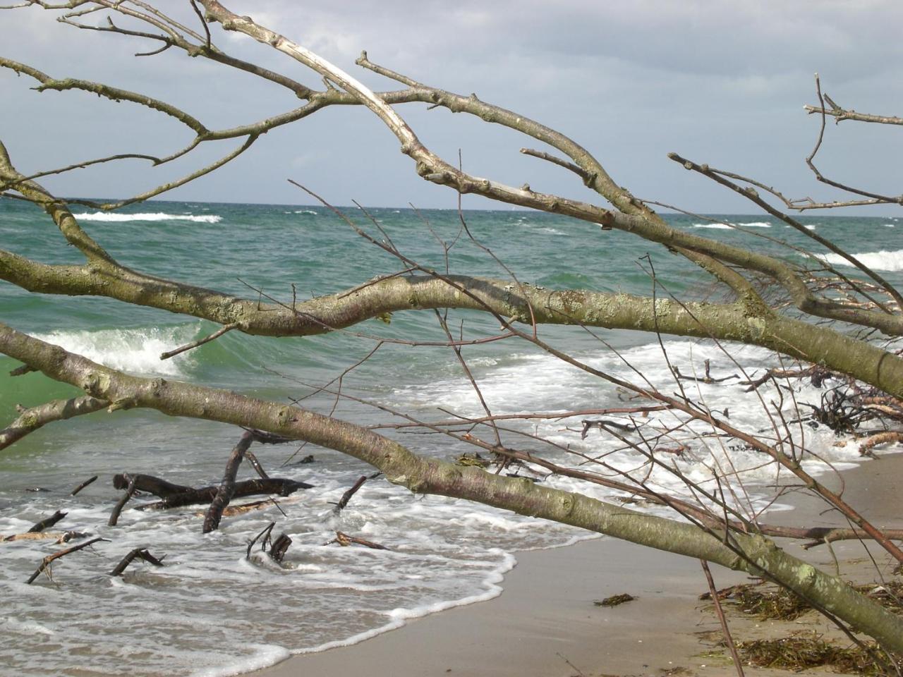 Achtern - Diek - Am Strand Zingst Dış mekan fotoğraf
