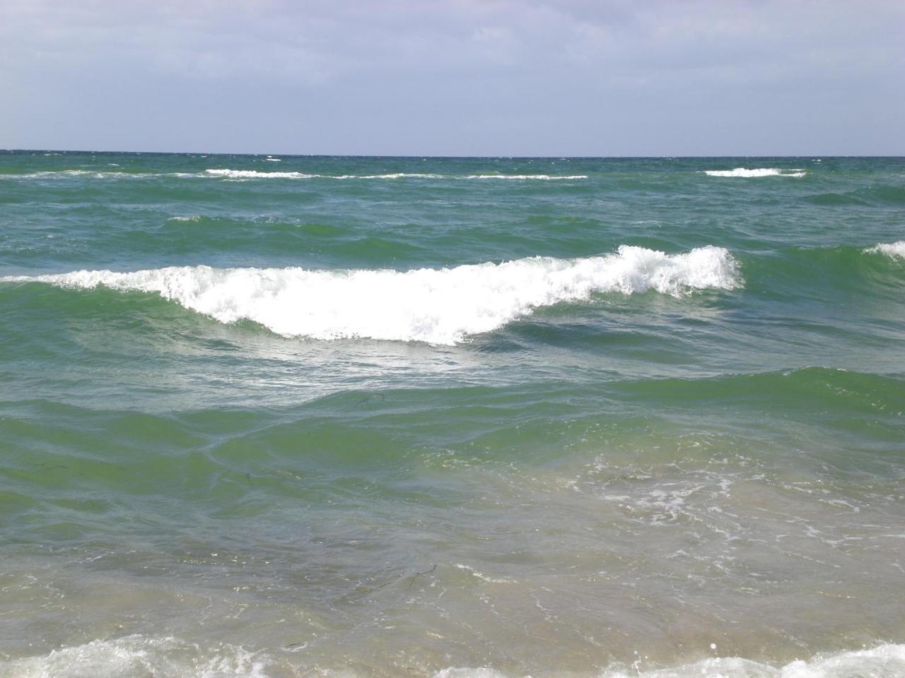 Achtern - Diek - Am Strand Zingst Dış mekan fotoğraf